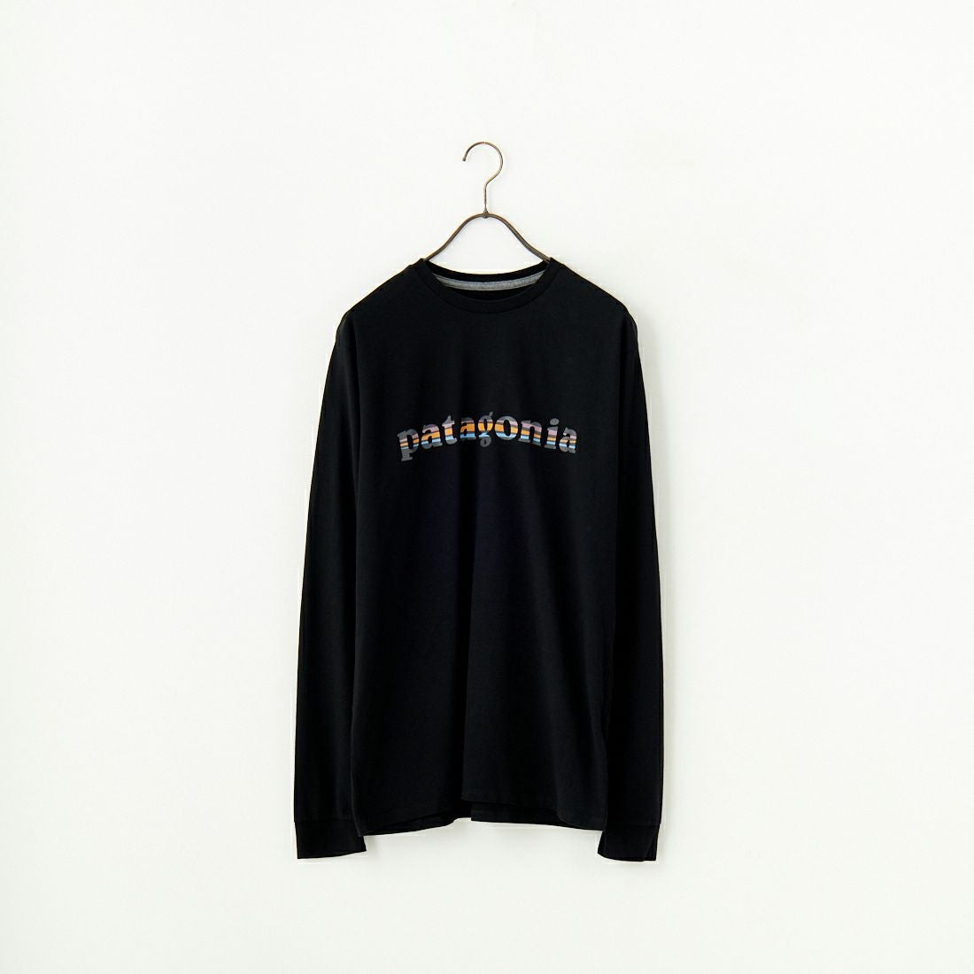 patagonia [パタゴニア] メンズ 73テキストロゴ レスポンシビリティーT