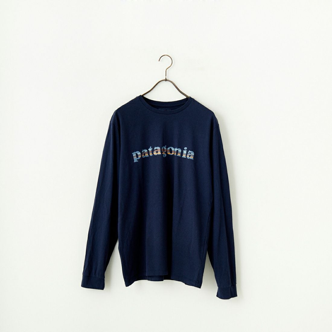 patagonia [パタゴニア] メンズ 73テキストロゴ レスポンシビリティーT