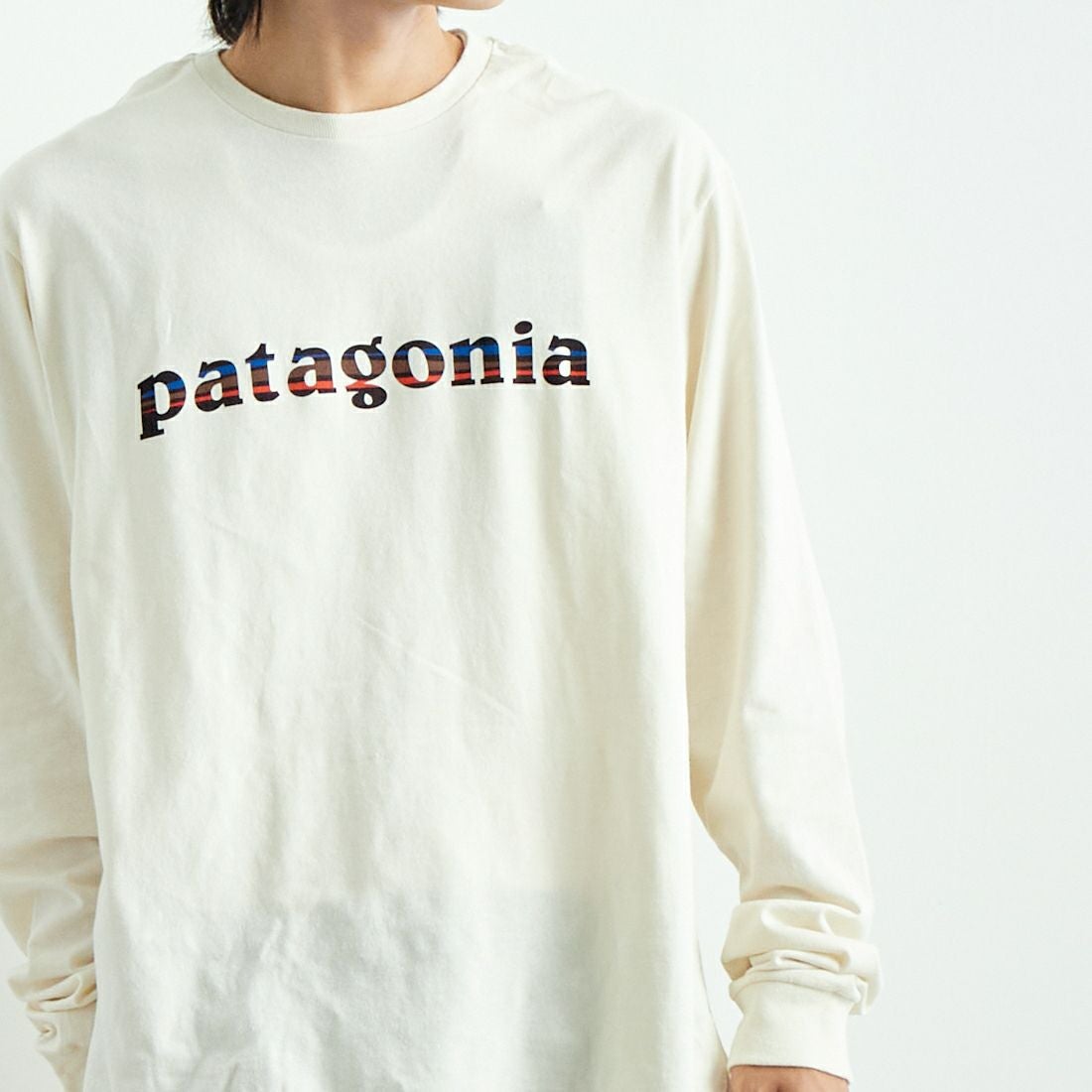 patagonia [パタゴニア] メンズ 73テキストロゴ レスポンシビリティーT