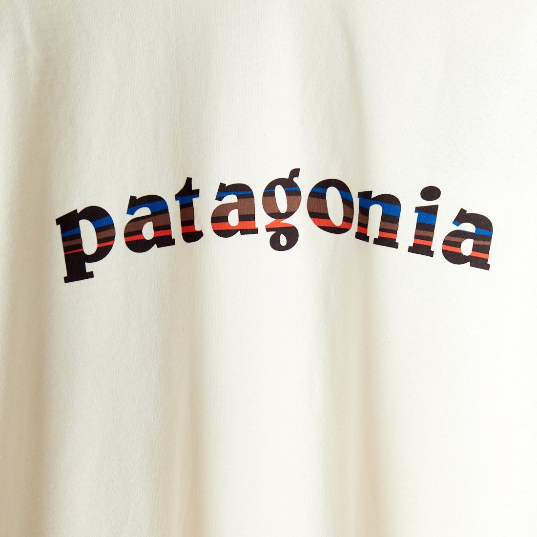patagonia [パタゴニア] メンズ 73テキストロゴ レスポンシビリティーTシャツ [37780] BCW