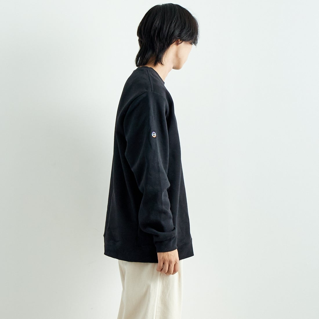 patagonia [パタゴニア] フィッツロイ アイコン アップライザル クルー