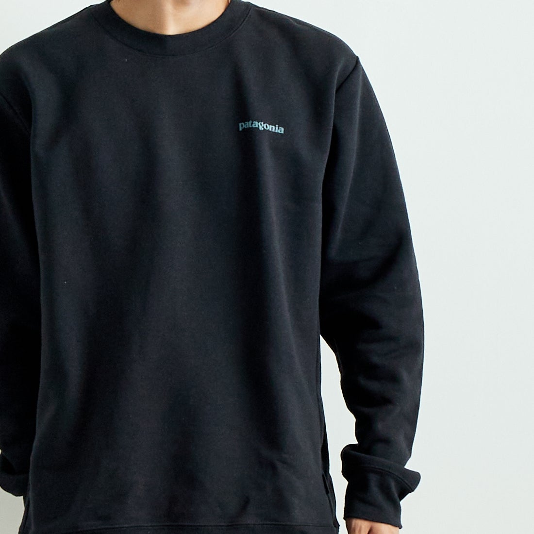 patagonia [パタゴニア] フィッツロイ アイコン アップライザル クルー