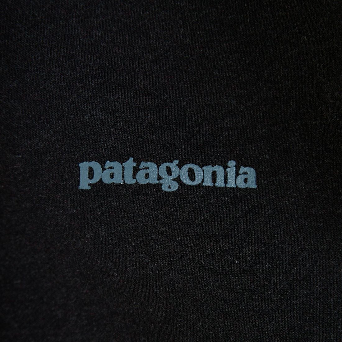 patagonia [パタゴニア] フィッツロイ アイコン アップライザル クルースウェットシャツ [39667] INBK