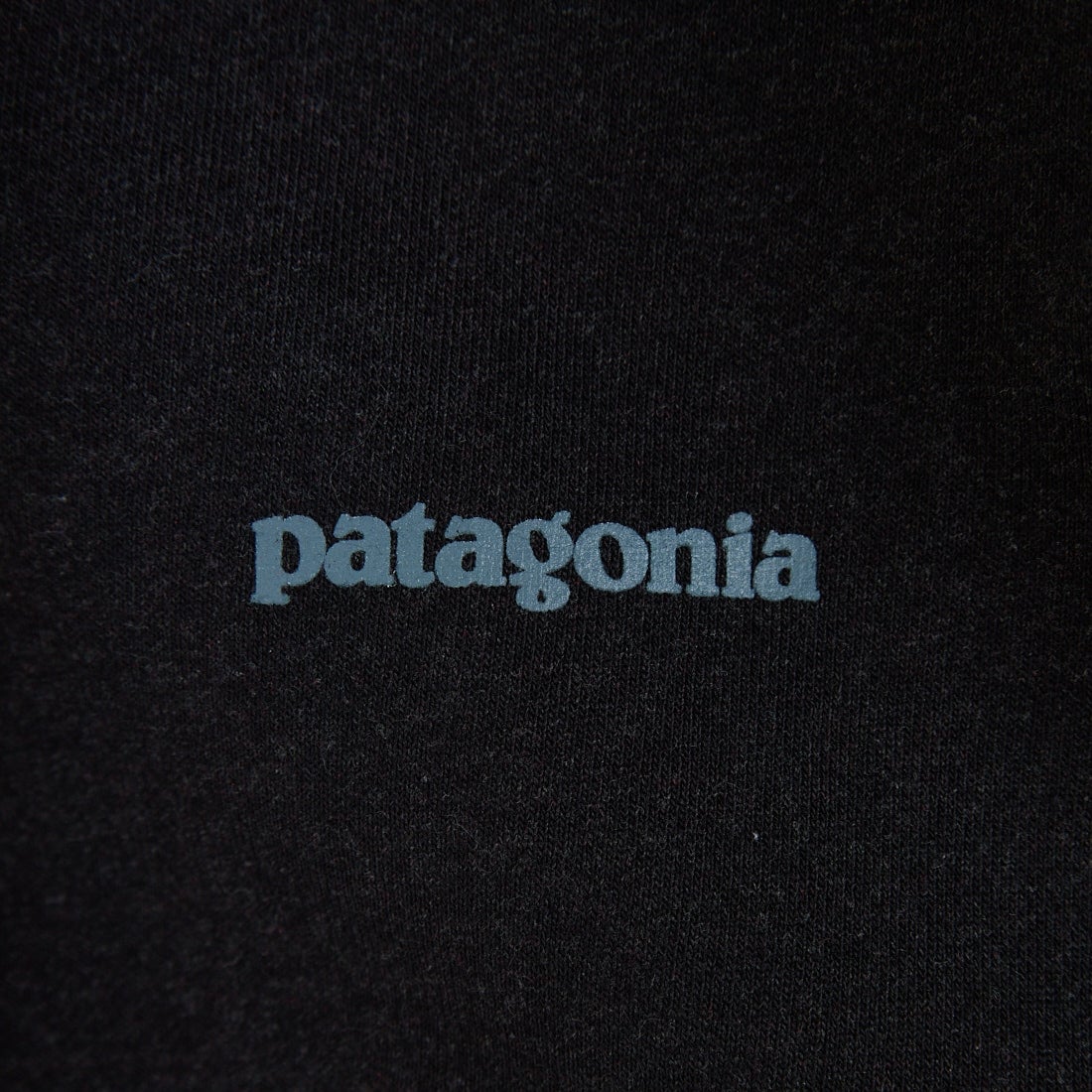 patagonia [パタゴニア] フィッツロイ アイコン アップライザル クルースウェットシャツ [39667] INBK