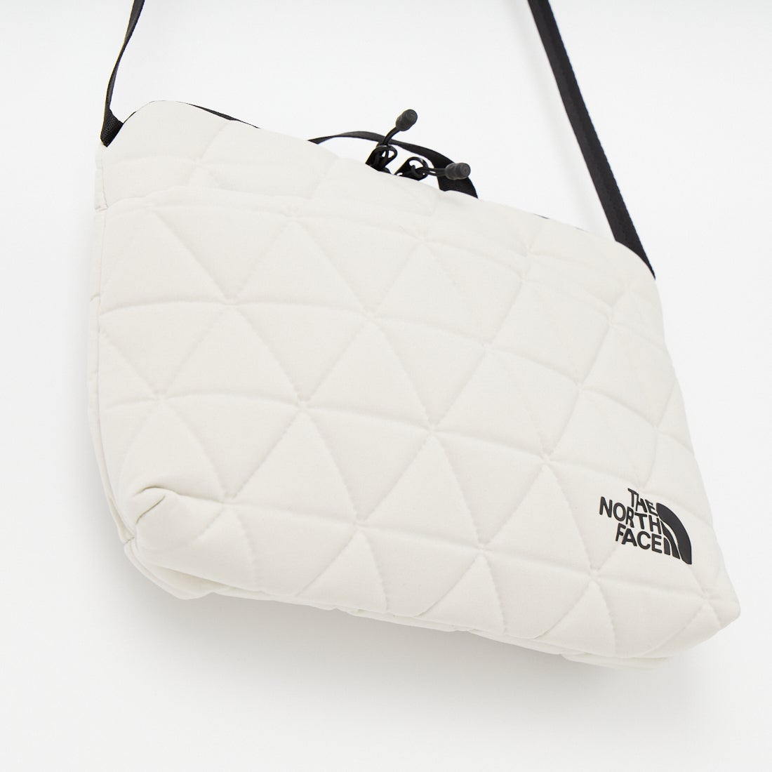 THE NORTH FACE [ザ ノースフェイス] ジオフェイスポーチ [NM32356] FI