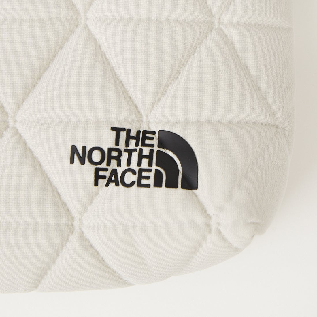 THE NORTH FACE [ザ ノースフェイス] ジオフェイスポーチ [NM32356] FI