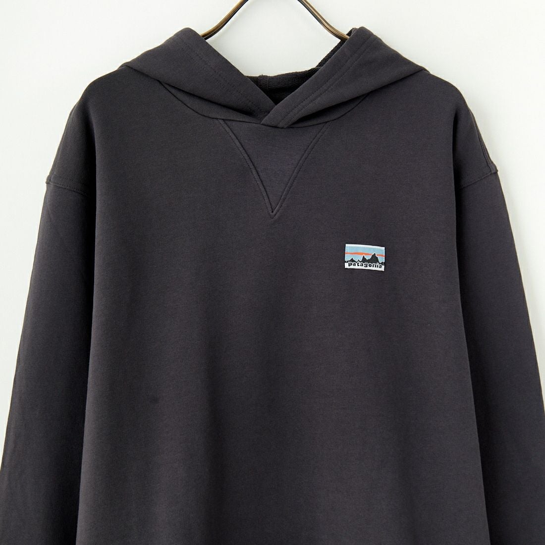 patagonia [パタゴニア] デイリー フーディスウェットシャツ [22770] INBK