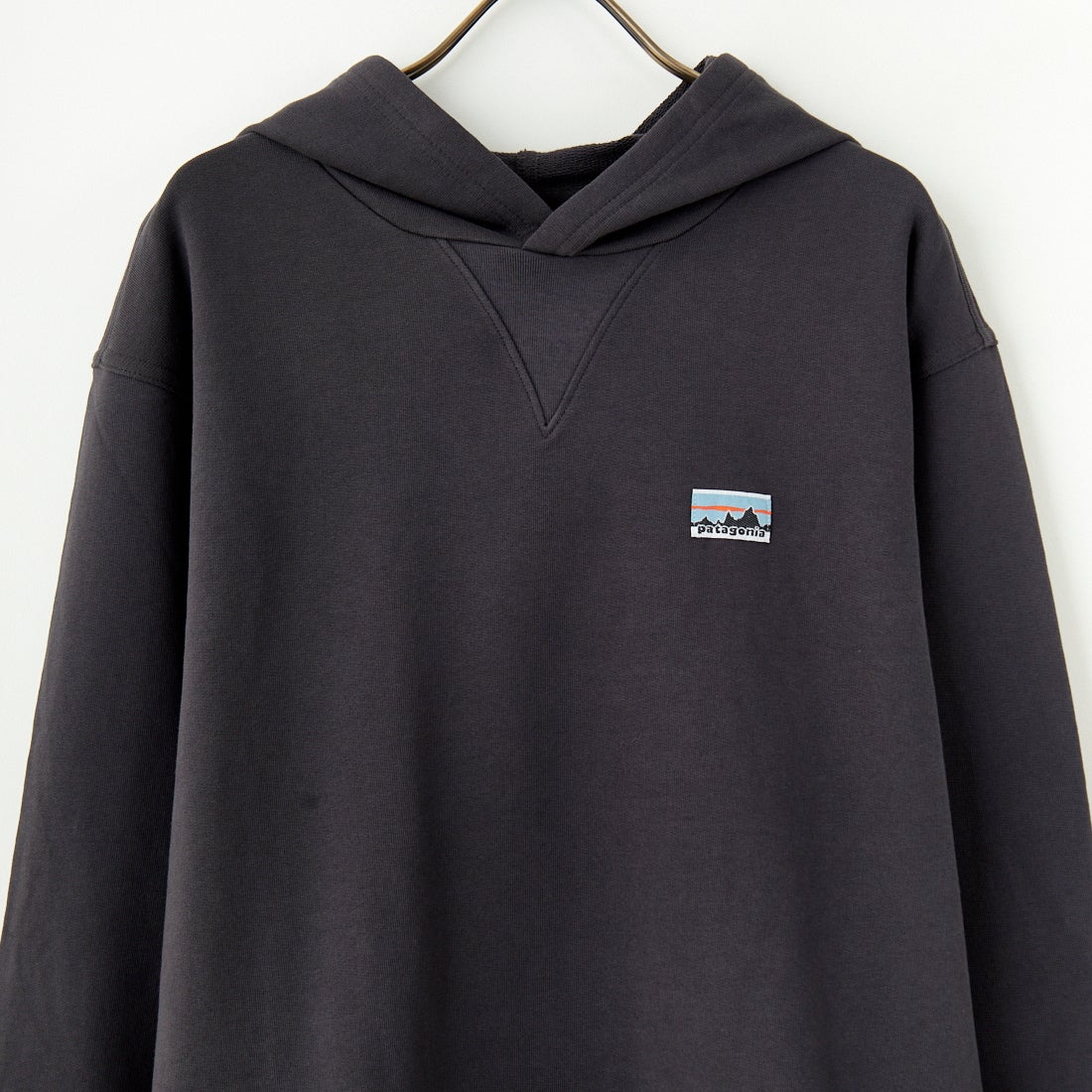 patagonia [パタゴニア] デイリー フーディスウェットシャツ [22770] INBK