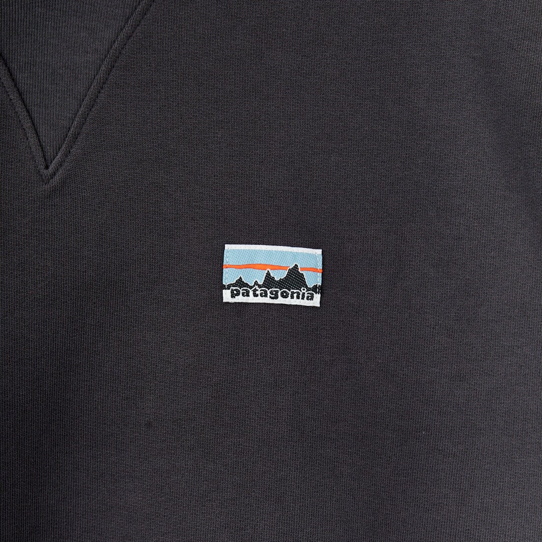 patagonia [パタゴニア] デイリー フーディスウェットシャツ [22770] INBK