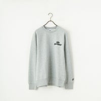 063 ﾀﾞｰｸｸﾞ