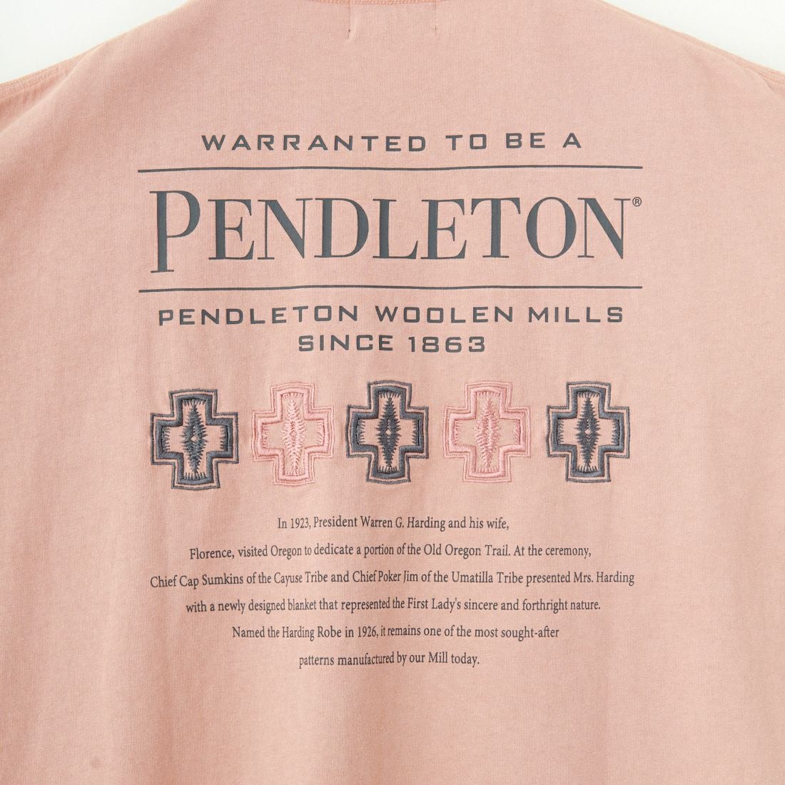 PENDLETON [ペンドルトン] 別注 ピグメント染め ヒストリーロゴバックプリントTシャツ [5275-0207-JF] PINK