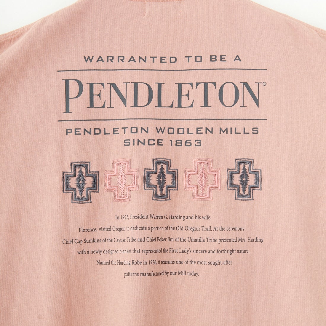 PENDLETON [ペンドルトン] 別注 ピグメント染め ヒストリーロゴバックプリントTシャツ [5275-0207-JF] PINK