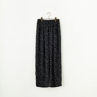 ﾌﾞﾗｯｸﾄﾞｯﾄ