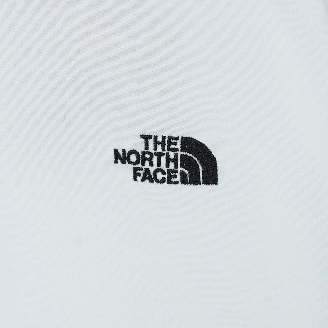 THE NORTH FACE [ザ ノースフェイス] ロングスリーブフラッシュドライヌプシコットンティー [NT32535] W