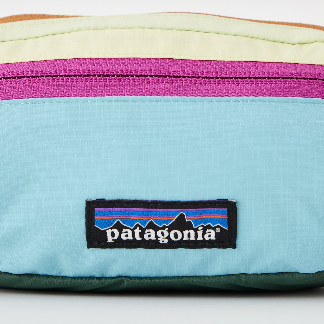 patagonia [パタゴニア] テラヴィア ミニヒップパック [49448] PWSN