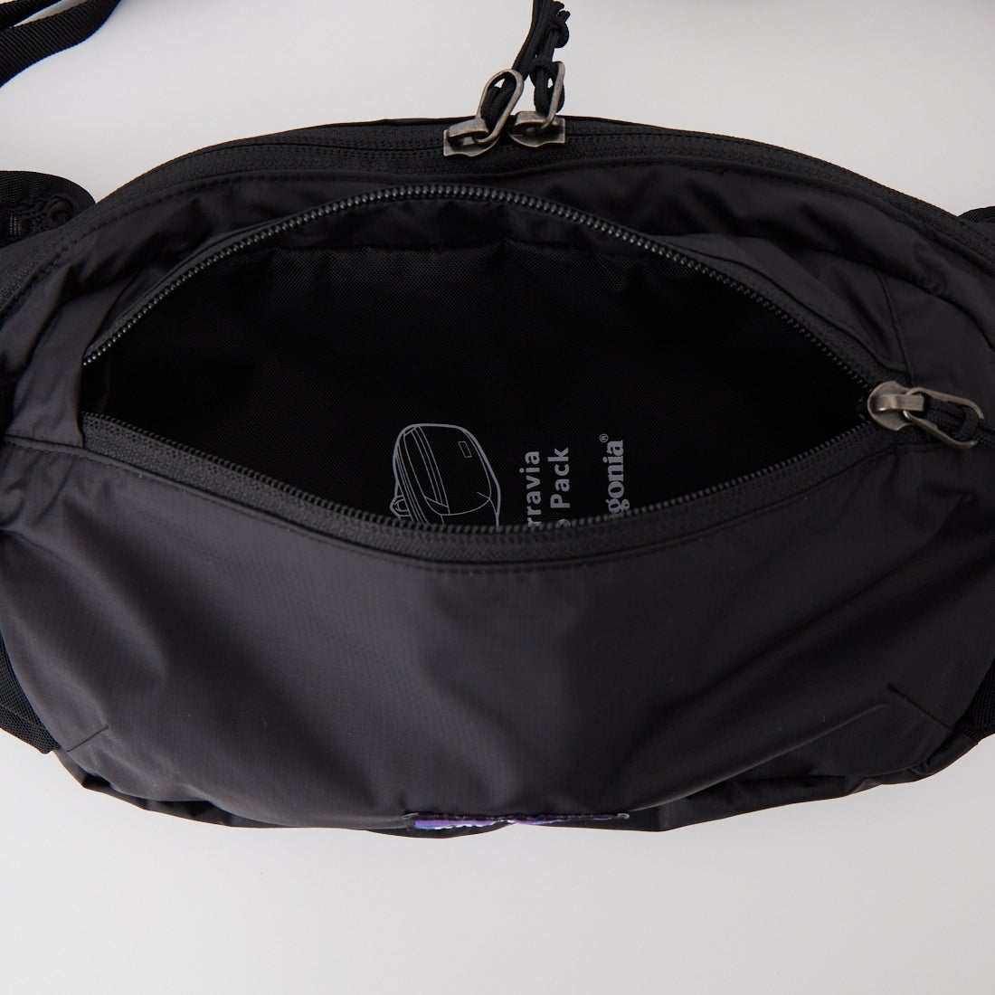patagonia [パタゴニア] テラヴィア ヒップパック 4L [49021] BLK