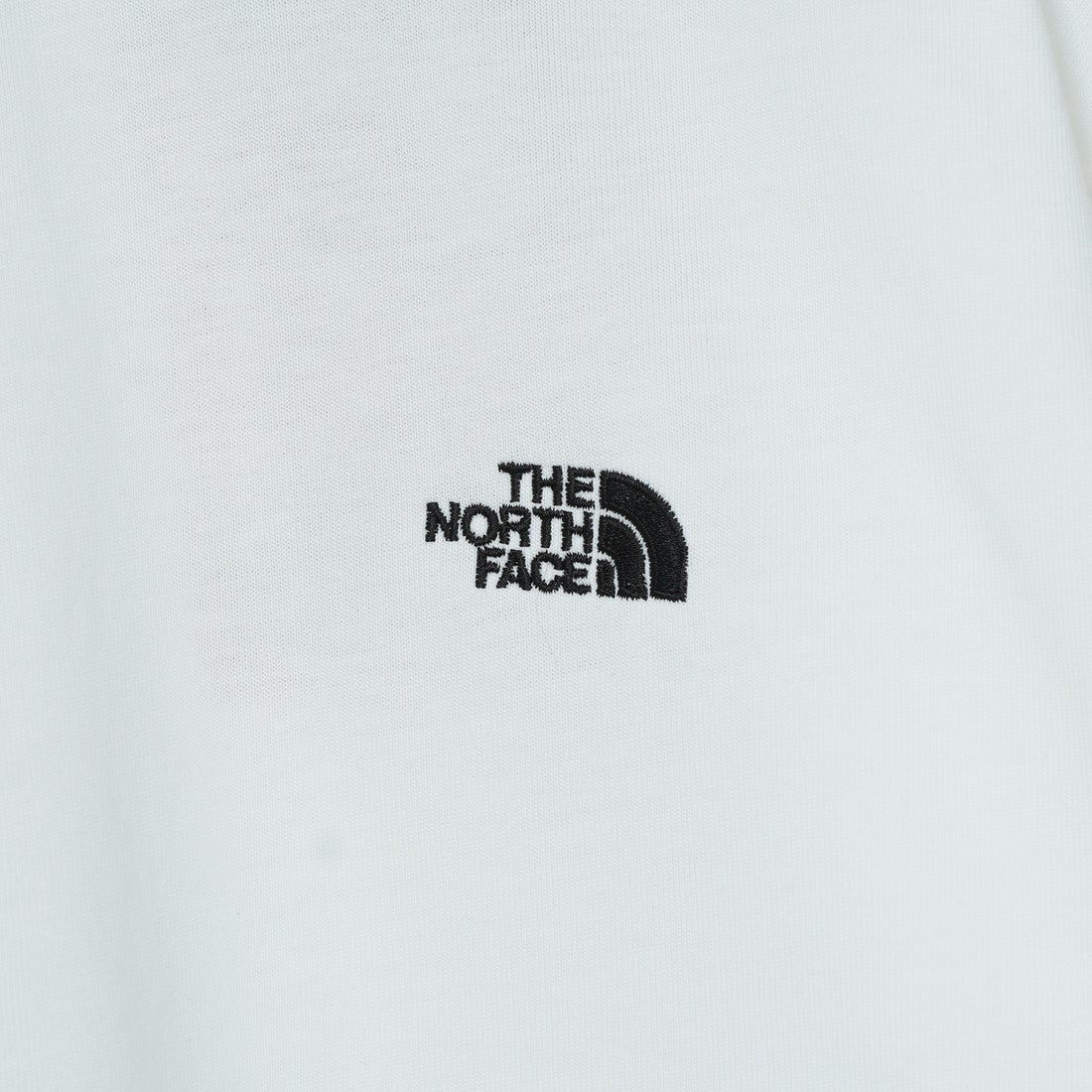 THE NORTH FACE [ザ ノースフェイス] ロングスリーブフラッシュドライヌプシコットンティー [NT32535] W