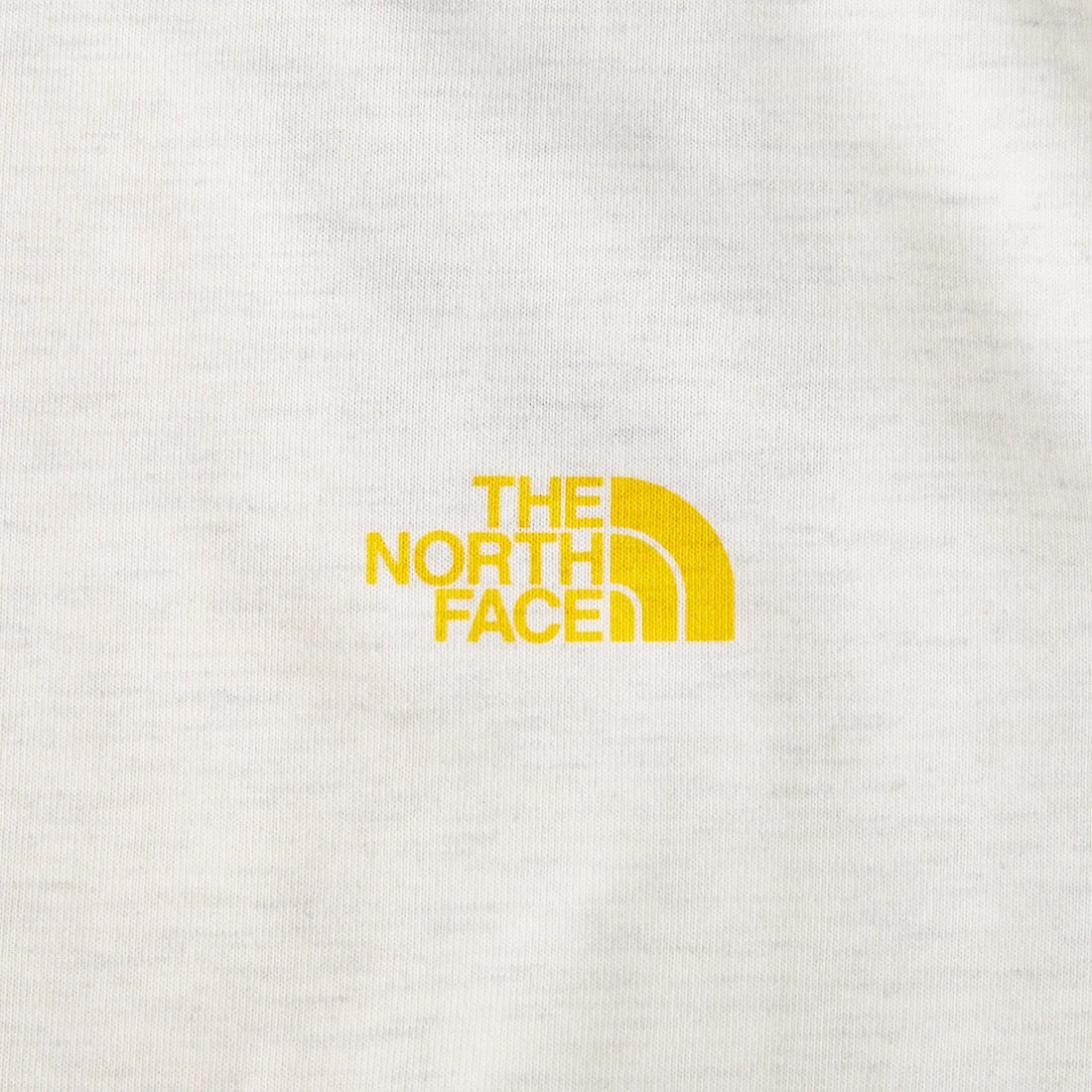 THE NORTH FACE [ザ ノースフェイス] ロングスリーブバックスクエアロゴTシャツ [NT32442] WS