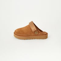 CHESTNUT
