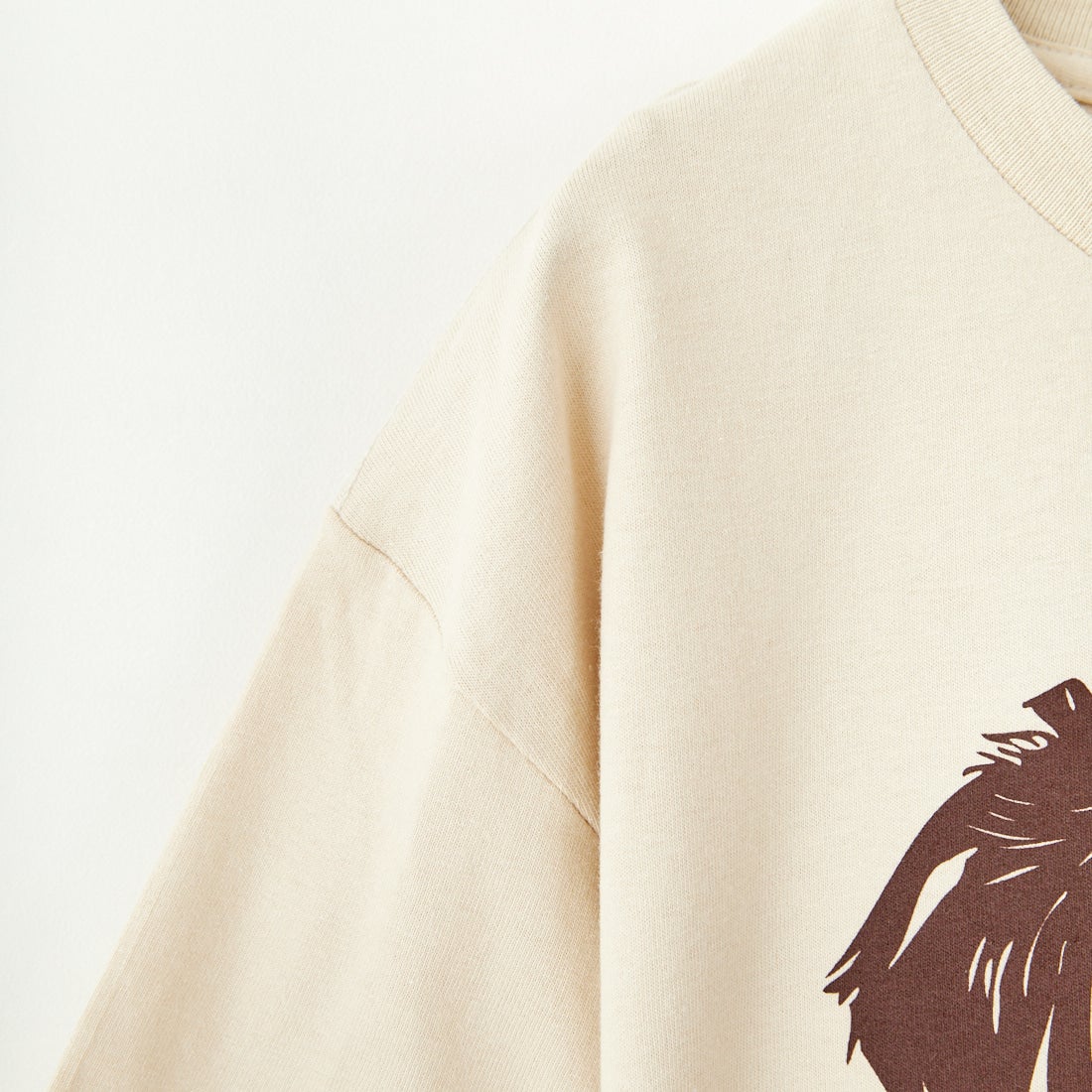 KAVU [カブー] 25ドッグ Tシャツ [19822261] SAND