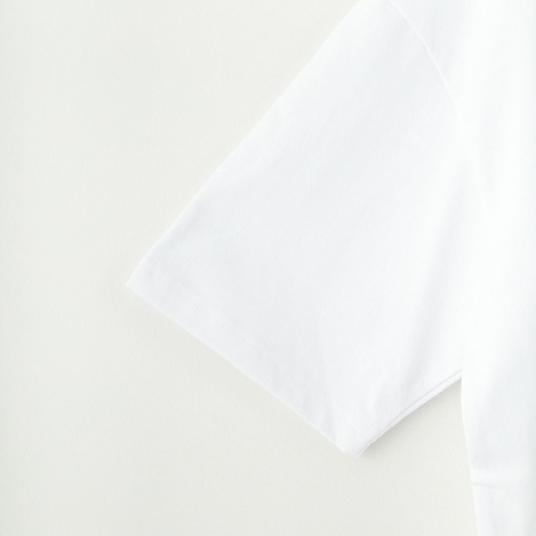 RVCA [ルーカ] PENスクリプトロゴショートスリーブTシャツ [BF041-253] WHT