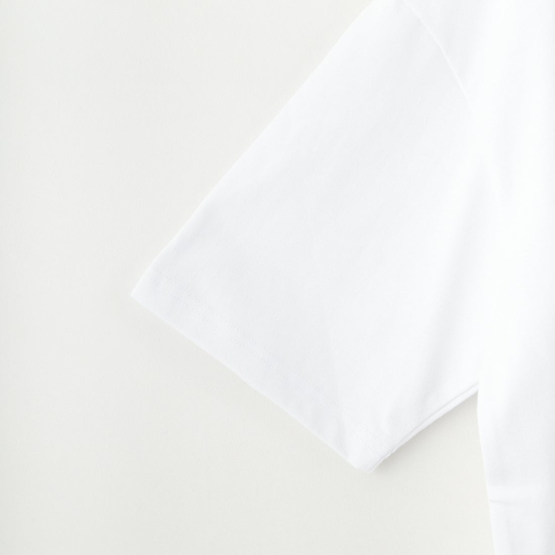 RVCA [ルーカ] PENスクリプトロゴショートスリーブTシャツ [BF041-253] WHT