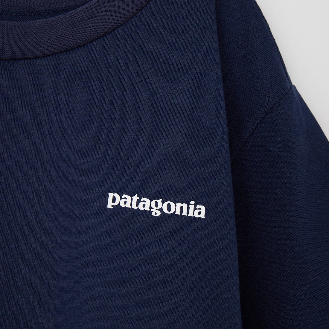patagonia [パタゴニア] キッズ グラフィックTシャツ [62146] PONN