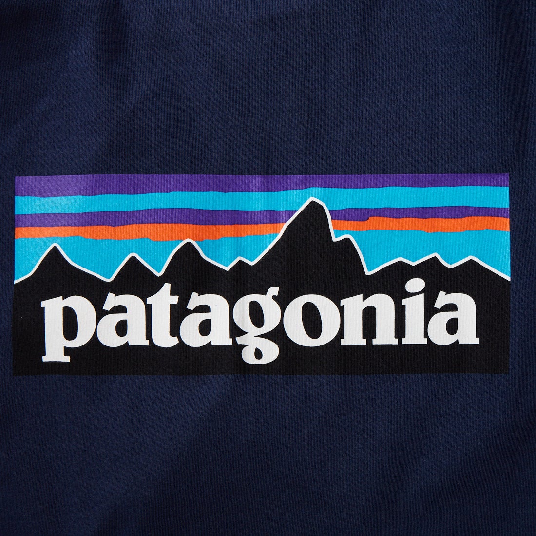 patagonia [パタゴニア] キッズ グラフィックTシャツ [62146] PONN
