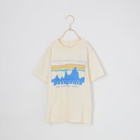 UDNL