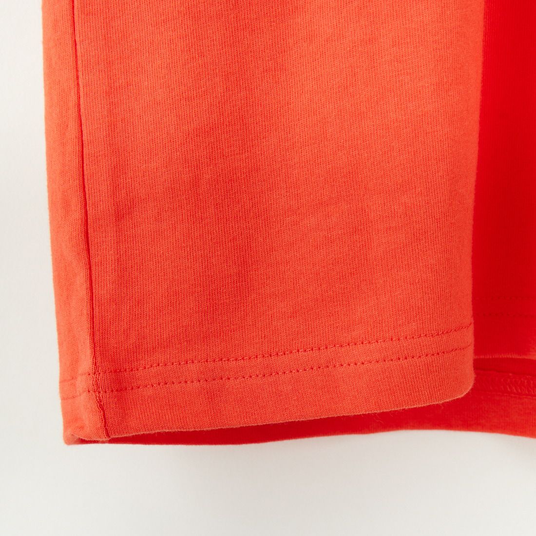 DEUS EX MACHINA [デウス エクス マキナ] RAPTOR ショートスリーブTシャツ [DMP251947B] TANGERINE