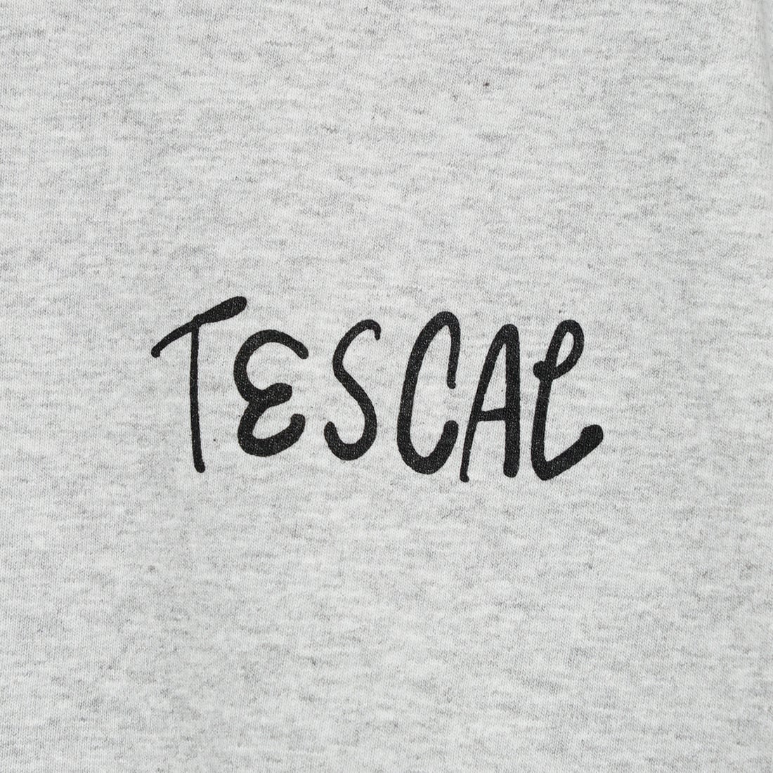 The Endless Summer [エンドレスサマー] 別注 手書き風ロゴ BUHIバックプリントTシャツ [FH-25574502-JF] 03 MIX GRA