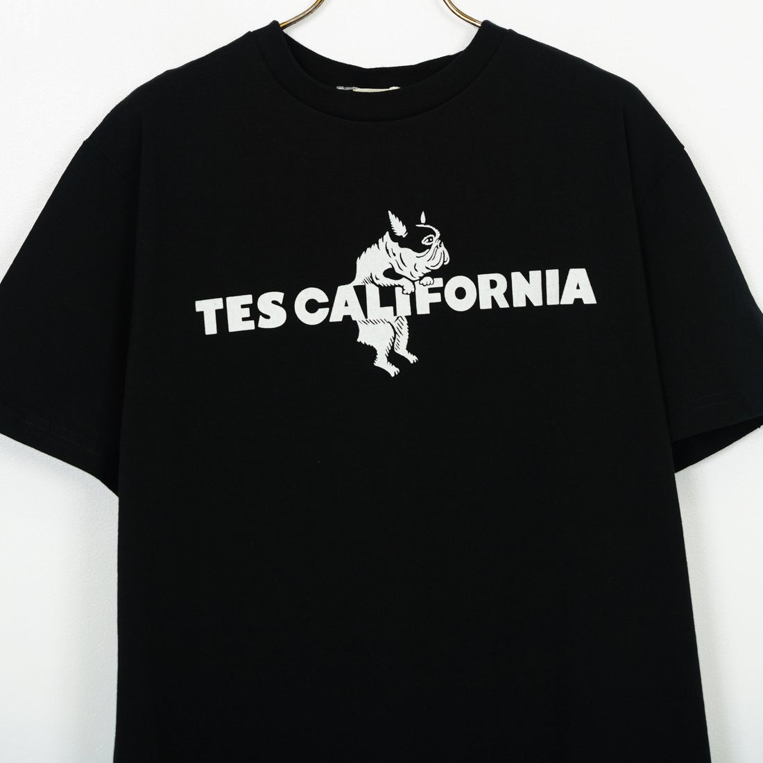 The Endless Summer [エンドレスサマー] 別注 TES CALフロッキーロゴプリントTシャツ [FH-25574504-JF] 01 BLACK