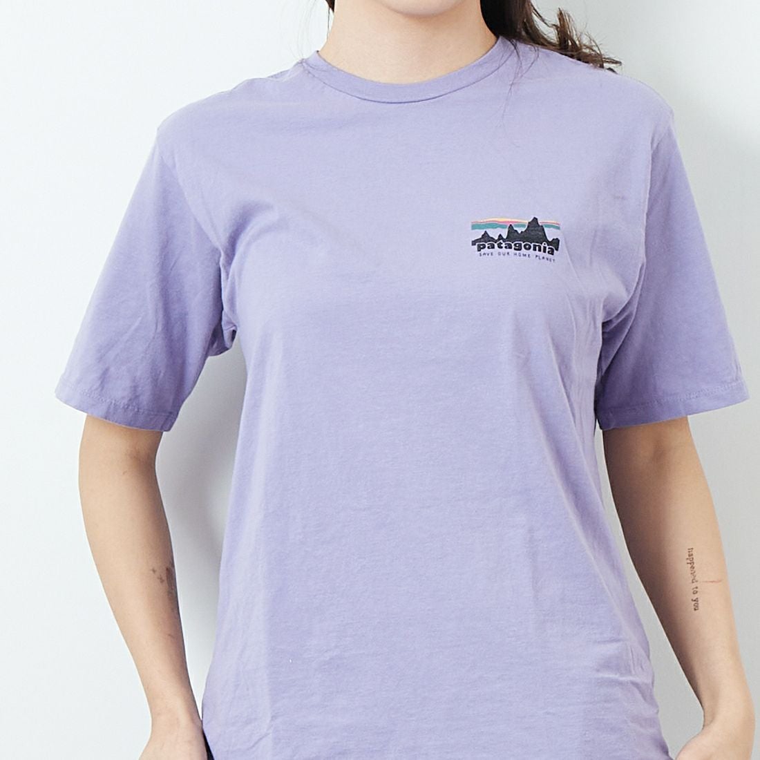 patagonia [パタゴニア] メンズ '73 スカイライン オーガニック T