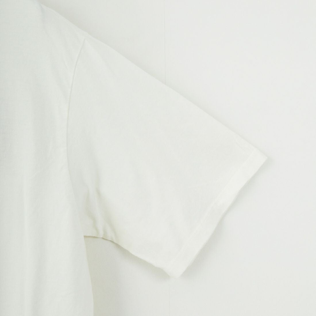 patagonia [パタゴニア] メンズ '73 スカイライン オーガニック Tシャツ [37534]BCW