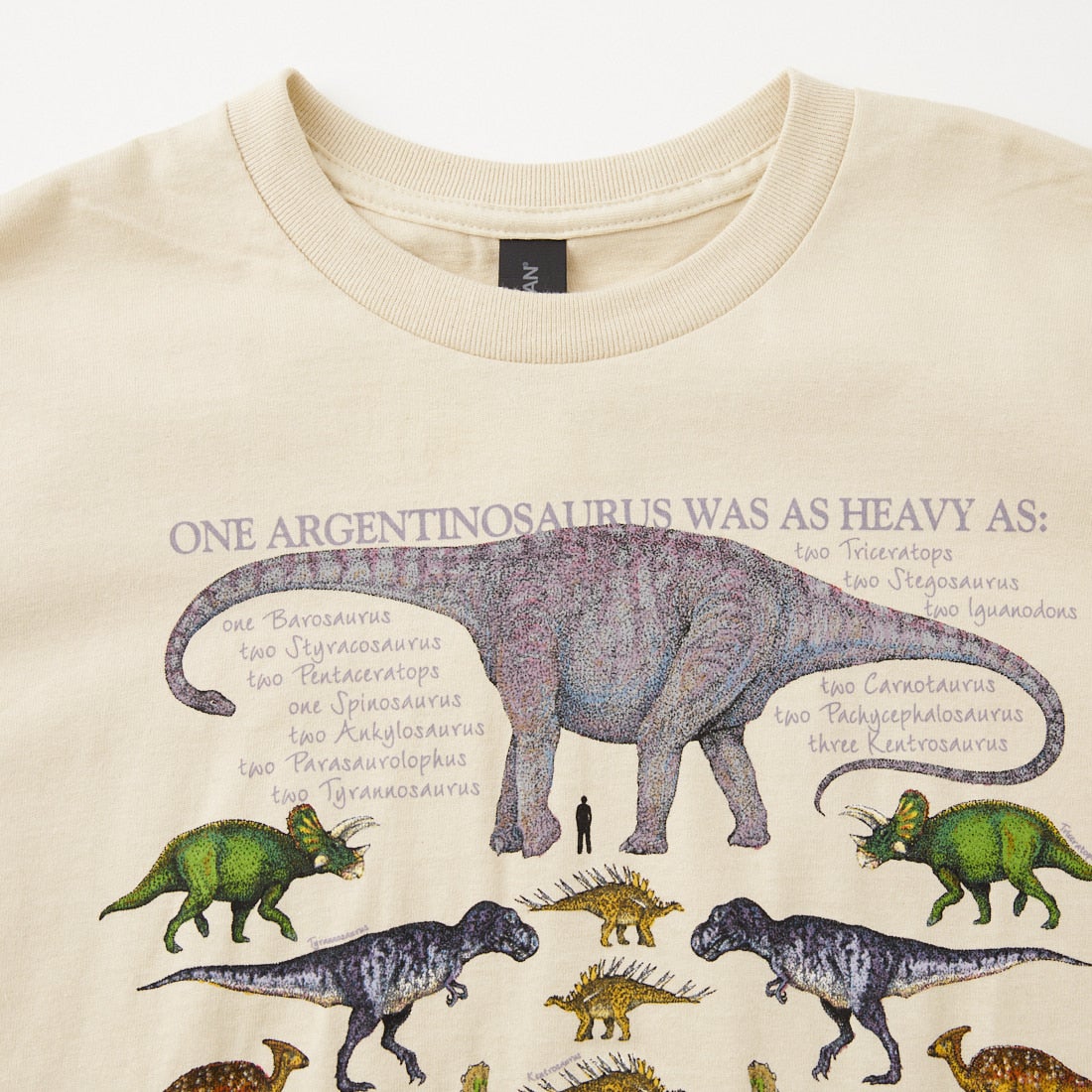 LIBERTY GRAPHICS [リバティーグラフィックス] ワンダイナソープリントTシャツ [ONE-DINOSAUR-IS] STONE