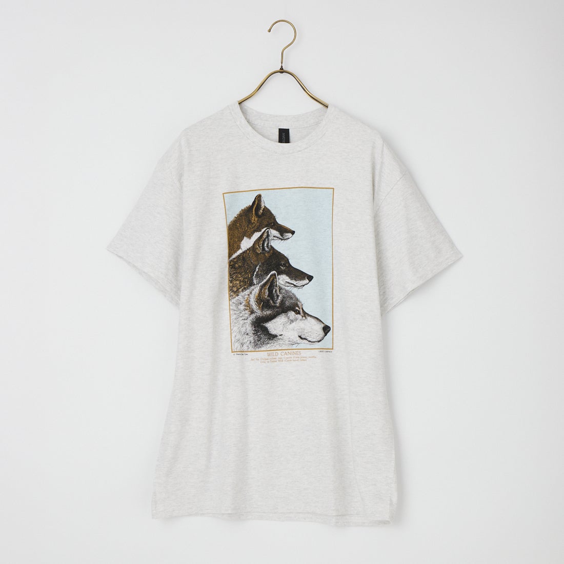 LIBERTY GRAPHICS [リバティーグラフィックス] ワイルドケイナイン