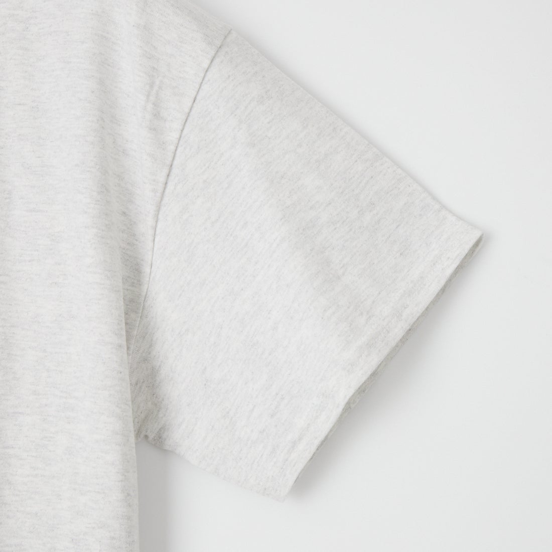 LIBERTY GRAPHICS [リバティーグラフィックス] ワイルドケイナインプリントTシャツ [WILD-CANINES] ASH