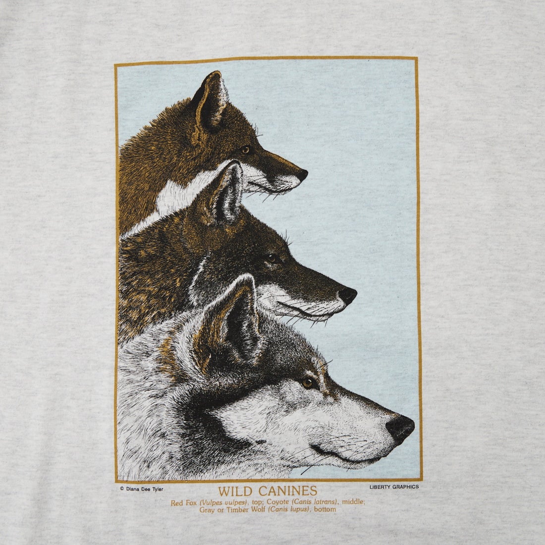 LIBERTY GRAPHICS [リバティーグラフィックス] ワイルドケイナインプリントTシャツ [WILD-CANINES] ASH