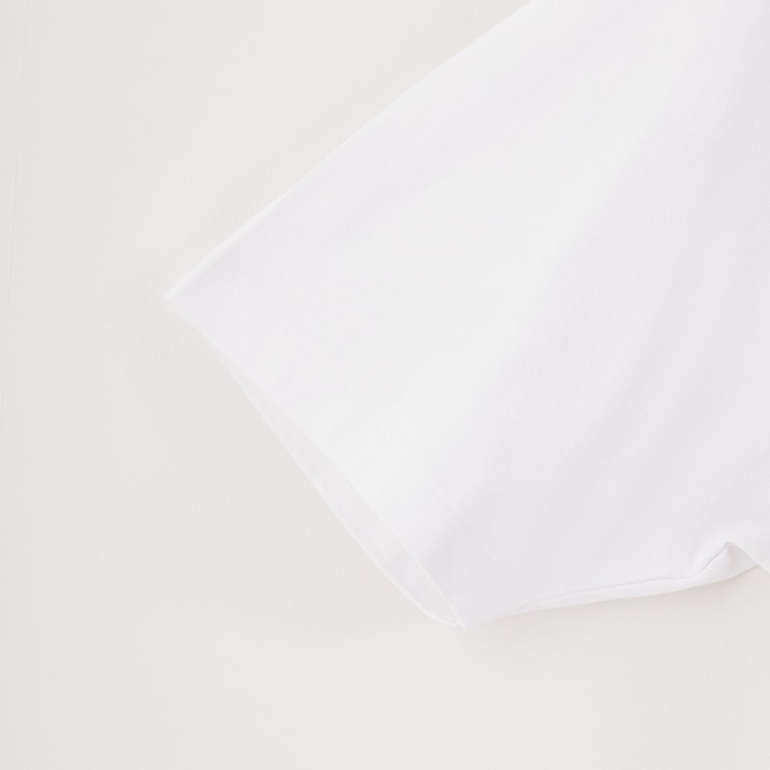 ARMY TWILL SANFORIZED [アーミーツイル サンフォライズド] オープンエンド ハーフスリーブプリントTシャツ [AM-2513015] WHITE