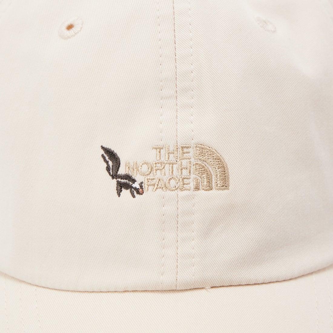 THE NORTH FACE [ザ ノースフェイス] キッズ スモールロゴキャップ [NNJ02407] GV