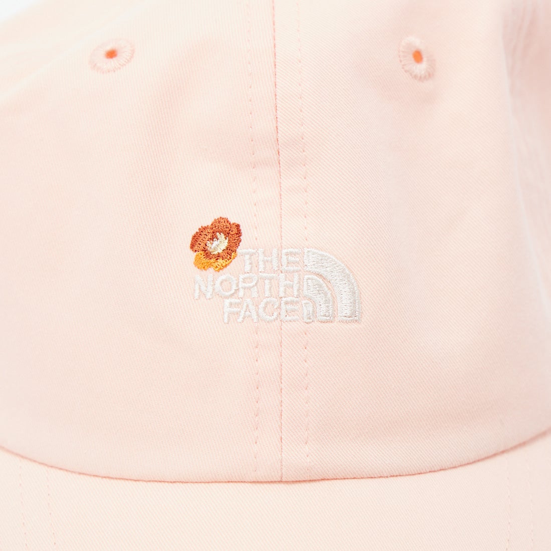 THE NORTH FACE [ザ ノースフェイス] キッズ スモールロゴキャップ [NNJ02407] PN