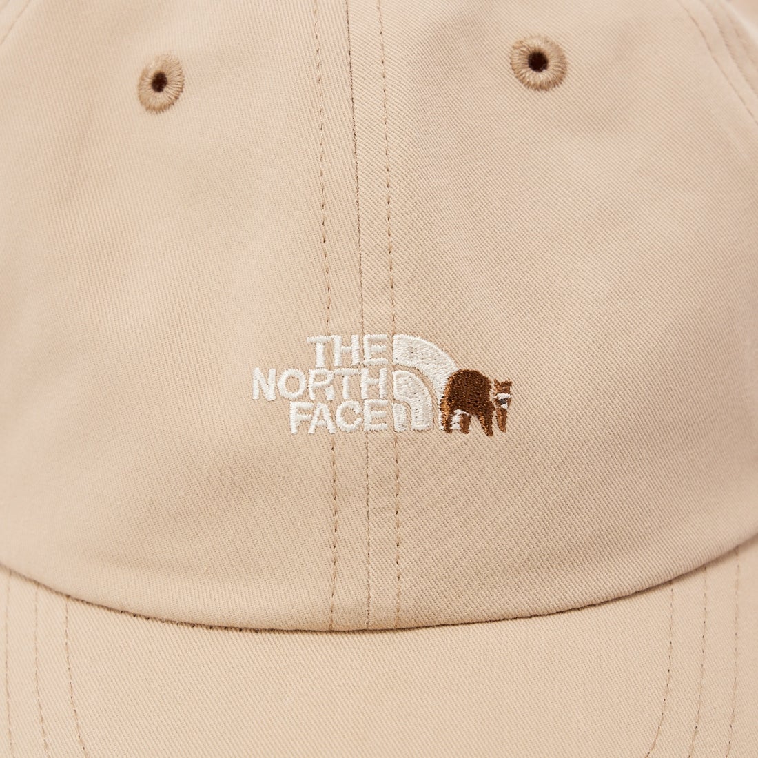THE NORTH FACE [ザ ノースフェイス] キッズ スモールロゴキャップ [NNJ02407] KP