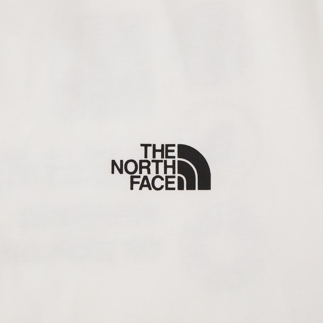 THE NORTH FACE [ザ ノースフェイス] ショートスリーブ フラッシュドライグローブグリッドコットンTシャツ [NT32550] W