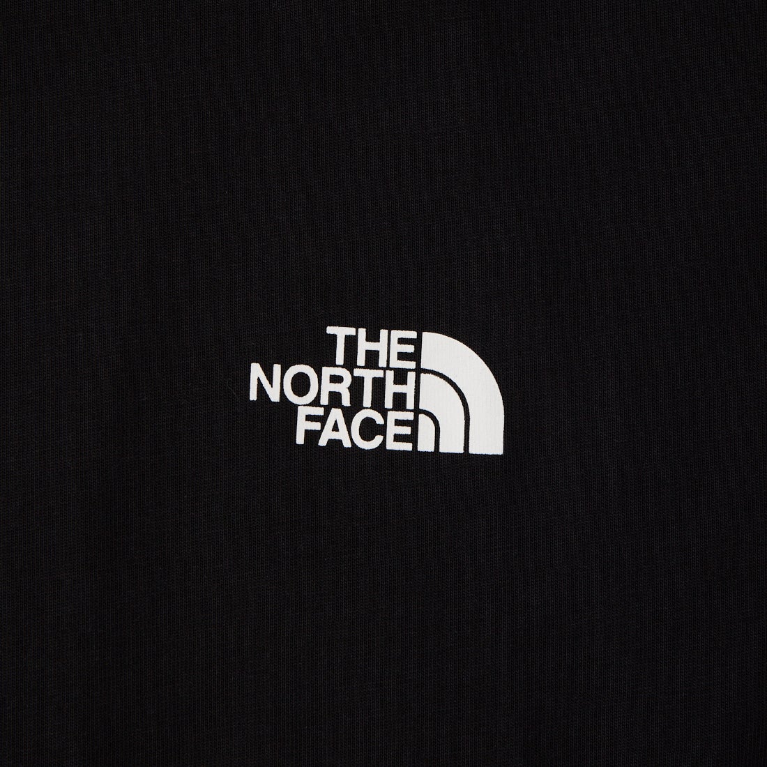 THE NORTH FACE [ザ ノースフェイス] ショートスリーブ フラッシュドライグローブグリッドコットンTシャツ [NT32550] K