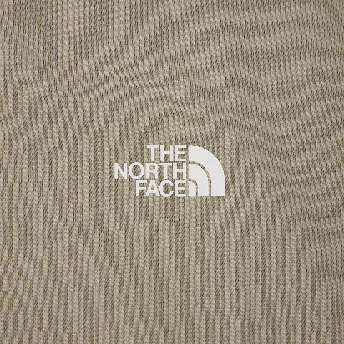 THE NORTH FACE [ザ ノースフェイス] ショートスリーブ フラッシュドライグローブグリッドコットンTシャツ [NT32550] ST