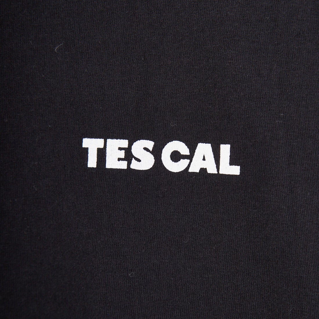 The Endless Summer [エンドレスサマー] 別注 THE CALIFORNIA バックプリントTシャツ [FH-25574507-JF] 01 BLACK