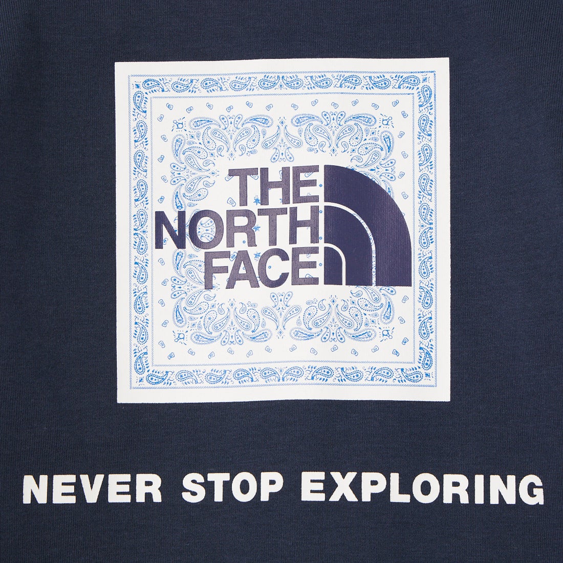 THE NORTH FACE [ザ ノースフェイス] キッズ ショートスリーブバンダナスクエアロゴTシャツ [NTJ32546] UN
