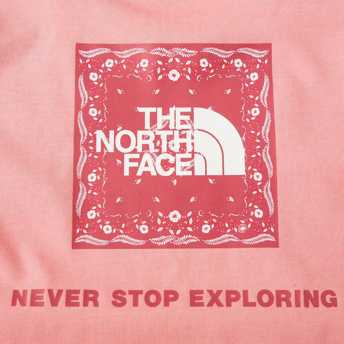 THE NORTH FACE [ザ ノースフェイス] キッズ ショートスリーブバンダナスクエアロゴTシャツ [NTJ32546] CH