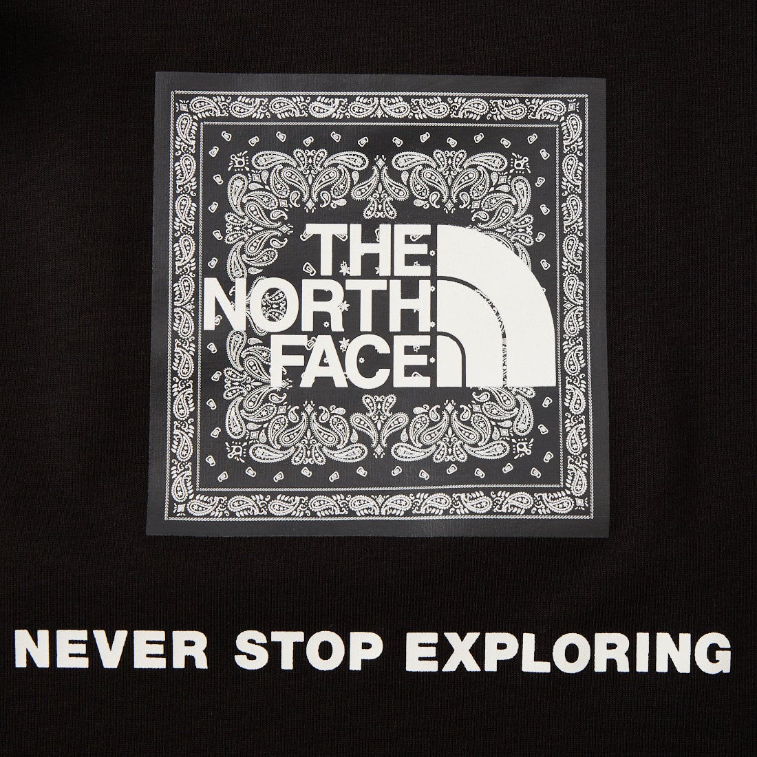 THE NORTH FACE [ザ ノースフェイス] トドラー ショートスリーブバンダナスクエアロゴTシャツ [NTT32546] K