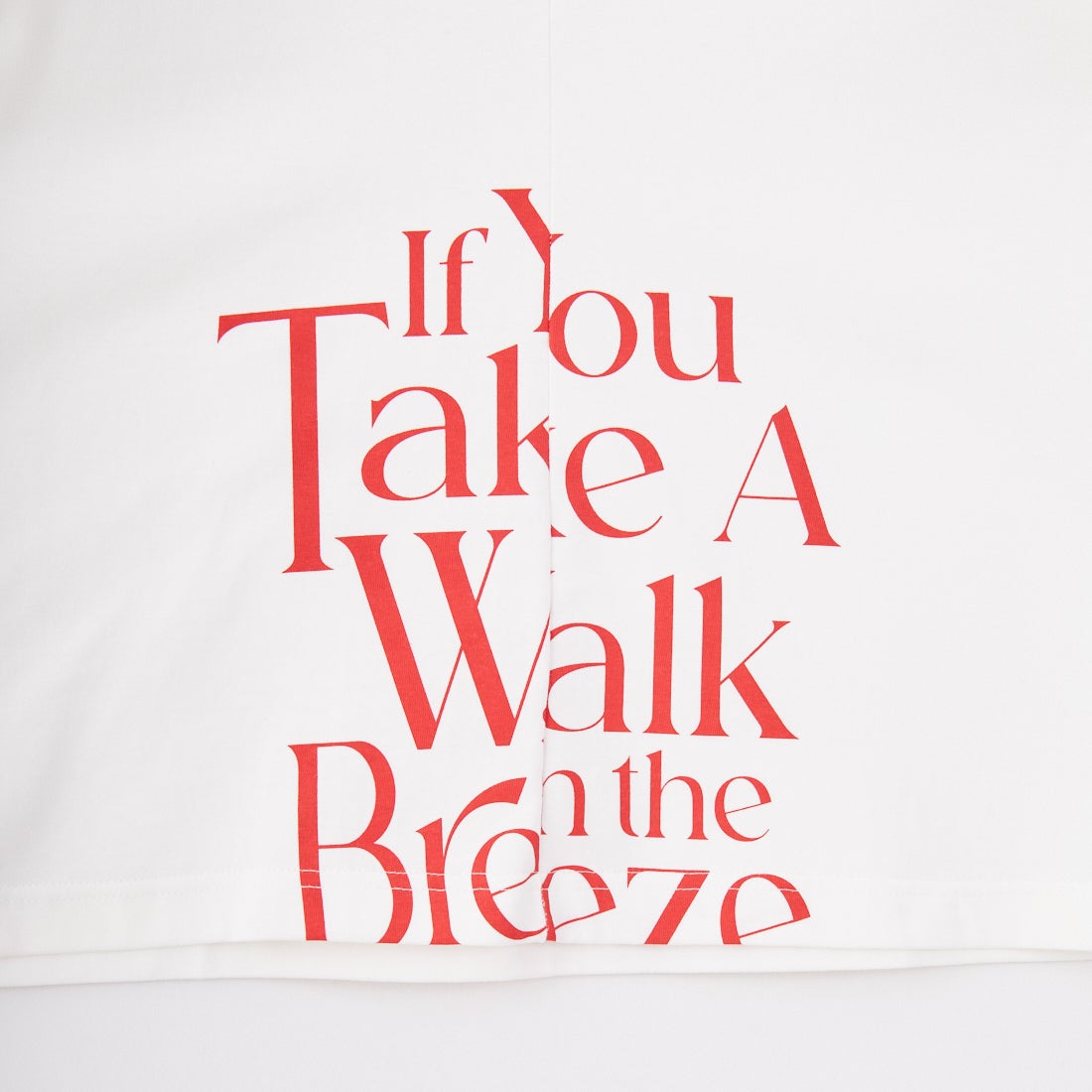 SCREEN STARS [スクリーンスターズ] 別注 リメイクプリントTシャツ [2522-RMPTIN-JF] OFF WHITE